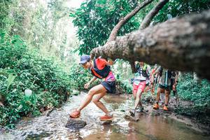 BIB: 
                            <button type="button" onclick="openModal(25372860)" class="btn btn-primary btn-sm float-right btn-popup" data-toggle="modal" data-target=".modal-high-quality">
                        <i class="fas fa-shopping-cart"></i> Add to Cart
                    </button>
                                            <button type="button" onclick="isThisMe(25372860, true)" class="btn btn-success btn-sm float-right btn-popup btn-isme hidden" data-toggle="tooltip" data-placement="bottom" title="นี่คือรูปของคุณใช่ไหม คลิกที่นี่เพื่อเอาเข้าอัลบั้ม">
                        <i class="fas fa-plus"></i> Add to album
                    </button>
                    <button type="button" onclick="isThisMe(25372860, false)" class="btn btn-warning btn-sm float-right btn-popup btn-isnotme hidden">
                        <i class="fas fa-ban"></i> Remove from album
                    </button>